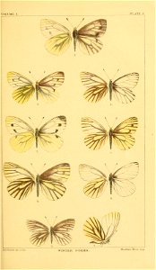 n112_w1150