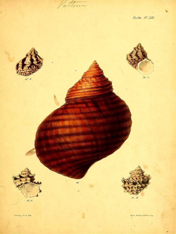 n668_w1150