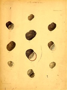 n576_w1150