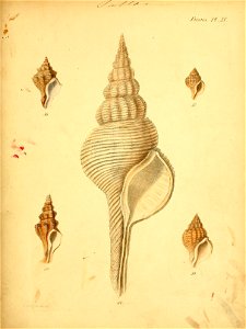 n528_w1150