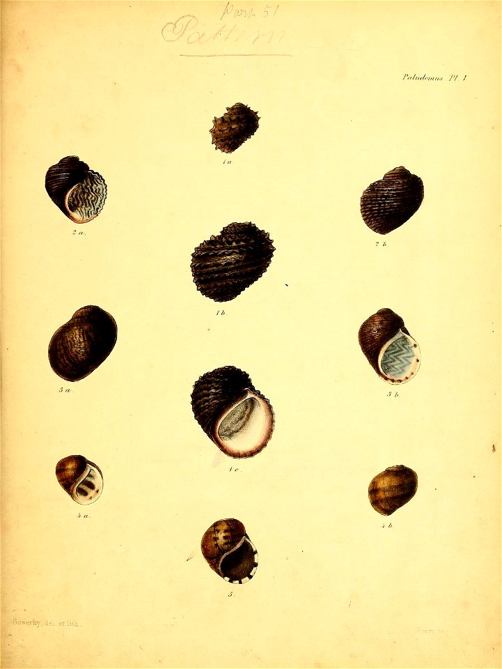 n574_w1150