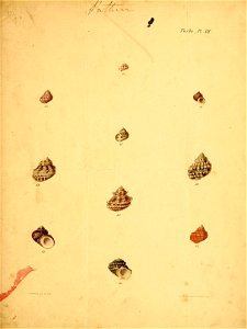 n662_w1150