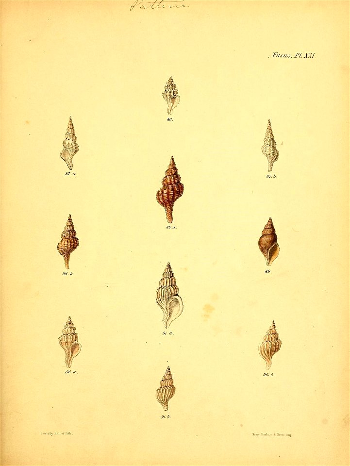 n566_w1150