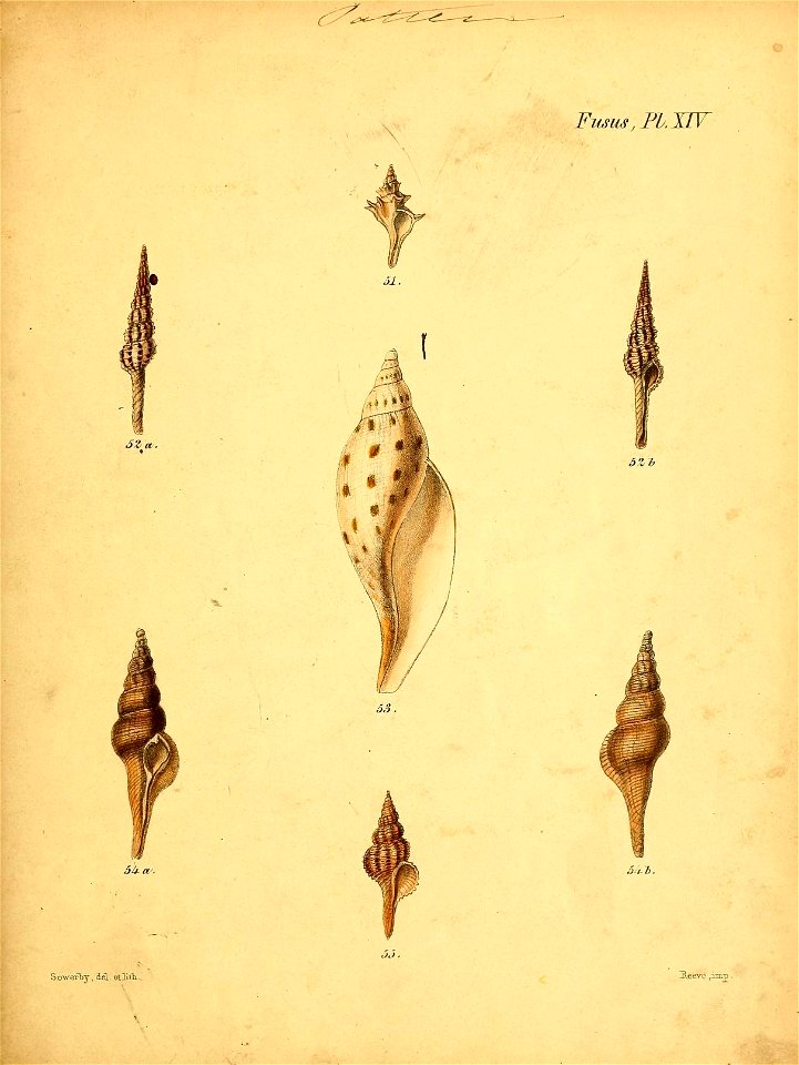 n522_w1150
