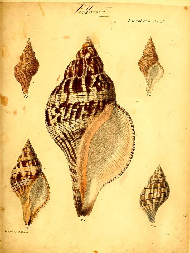 n424_w1150