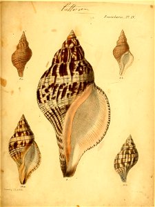 n424_w1150
