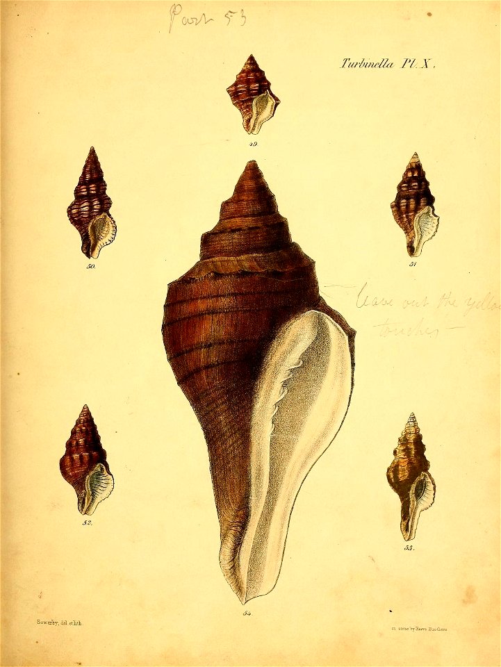 n376_w1150