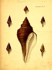 n376_w1150
