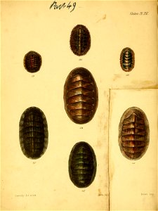 n179_w1150