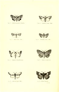 n173_w1150