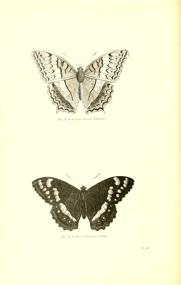 n393_w1150