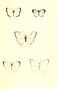 n180_w1150