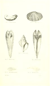 n316_w1150