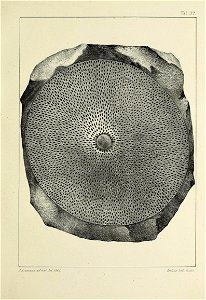 n134_w1150
