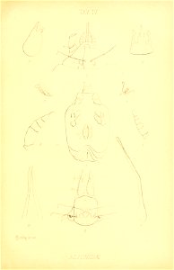 n172_w1150