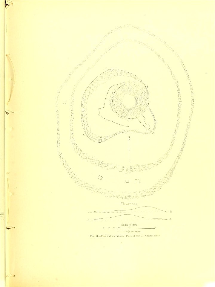 n394_w1150