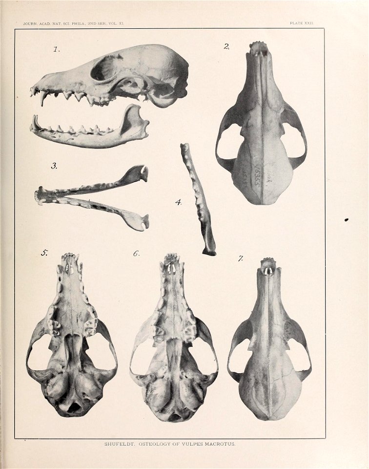 n578_w1150