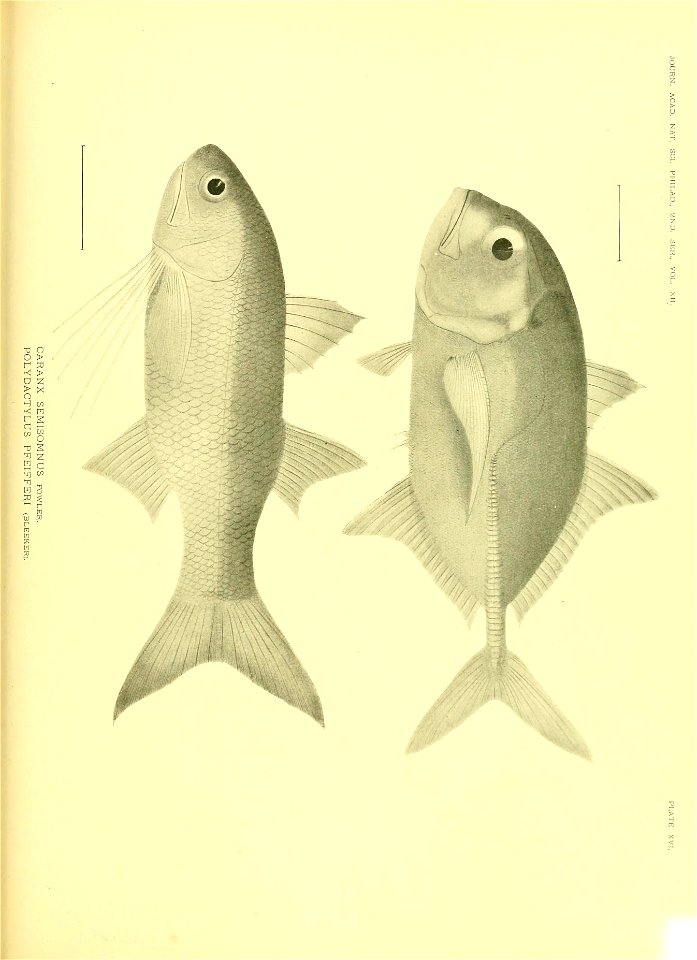 n618_w1150