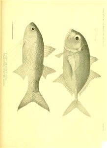 n618_w1150