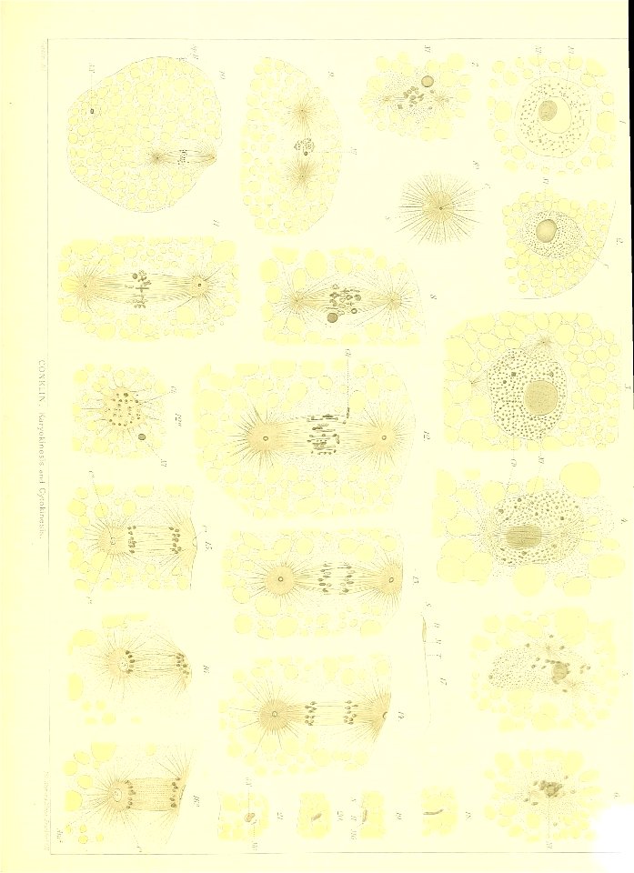 n578_w1150