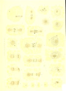 n578_w1150