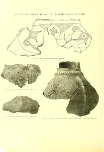 n431_w1150