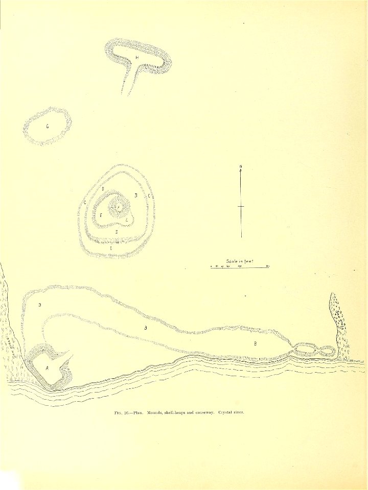 n393_w1150