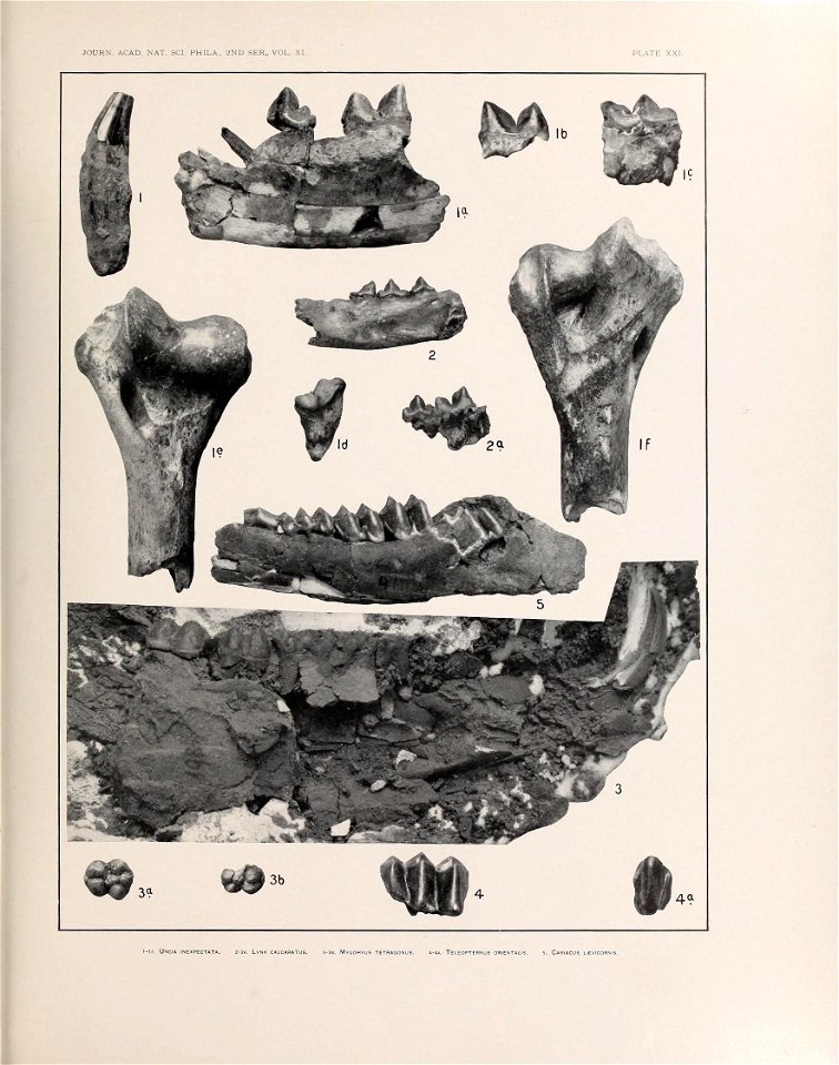 n576_w1150