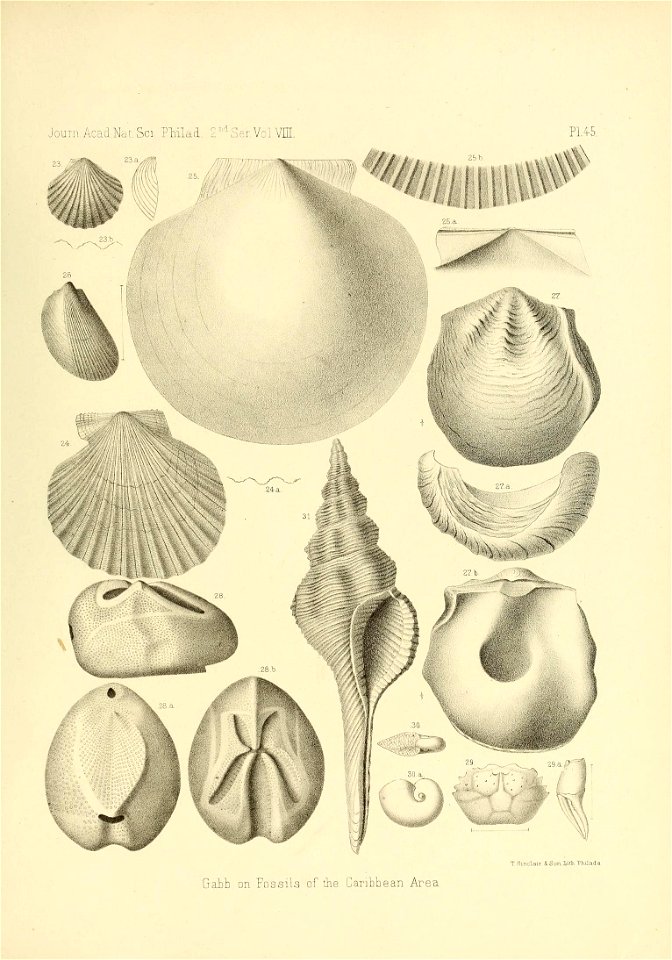 n552_w1150