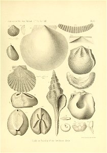 n552_w1150