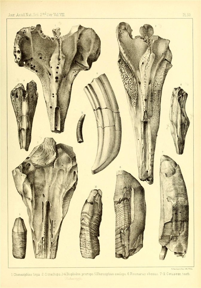 n522_w1150