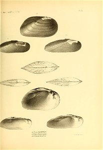 n492_w1150