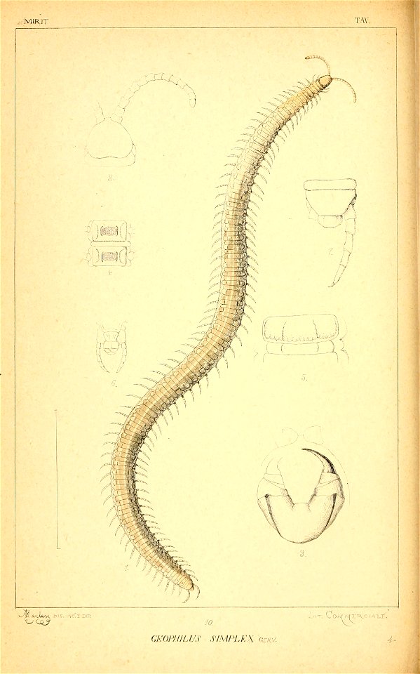 n181_w1150