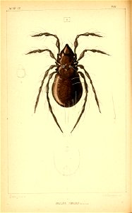 n117_w1150