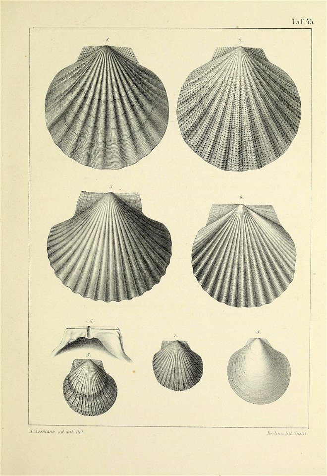n186_w1150