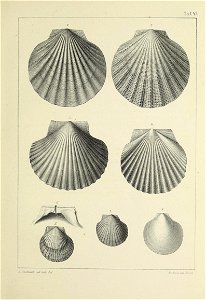 n186_w1150