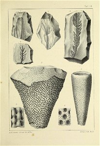 n126_w1150
