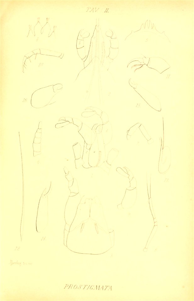 n168_w1150