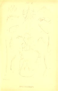 n168_w1150