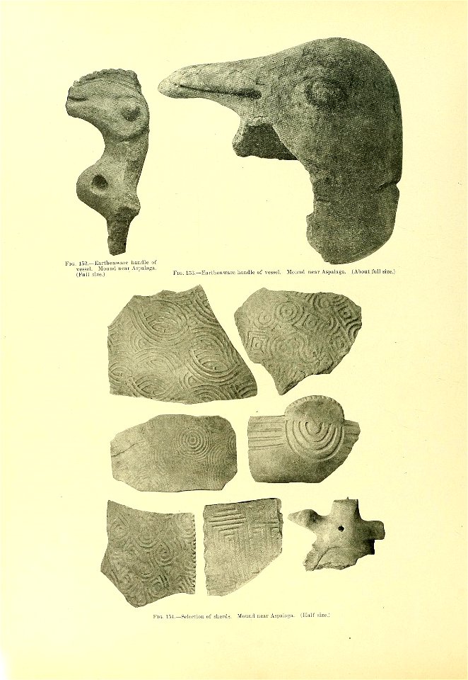n501_w1150