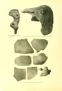 n501_w1150