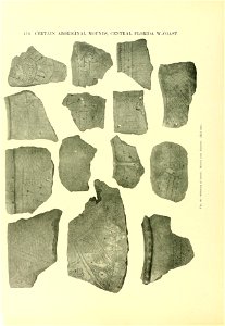 n429_w1150