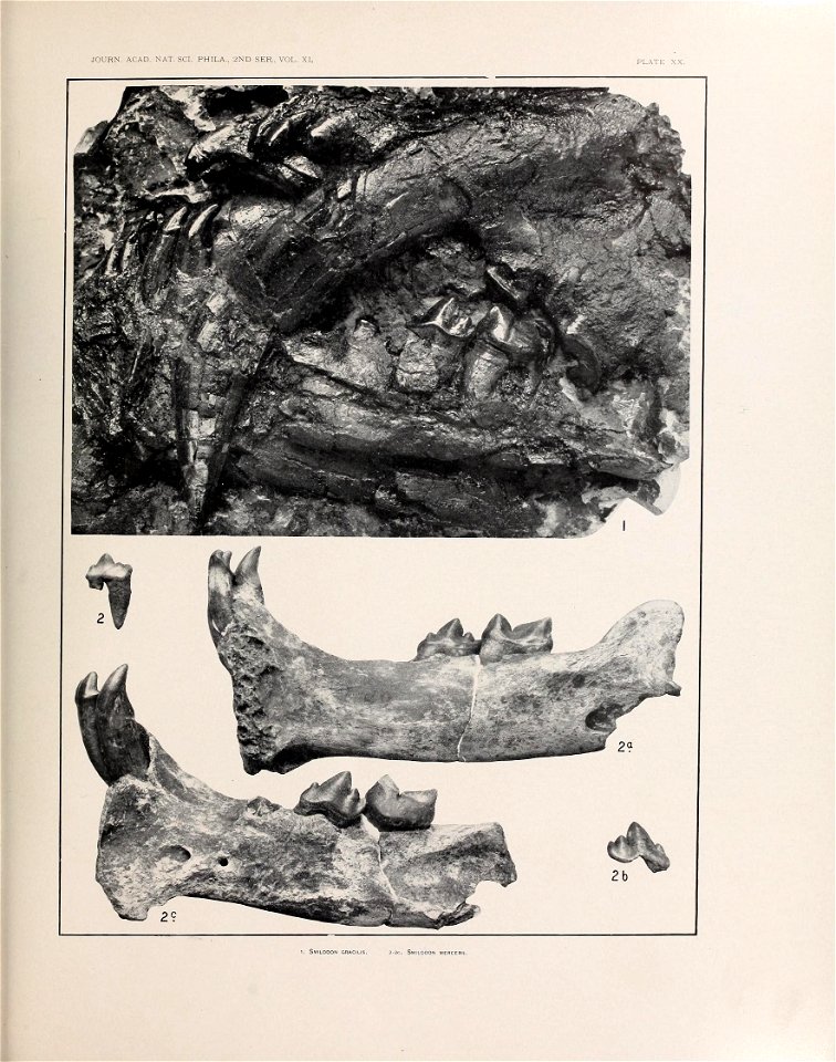 n574_w1150