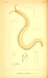 n177_w1150