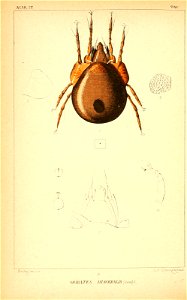 n113_w1150
