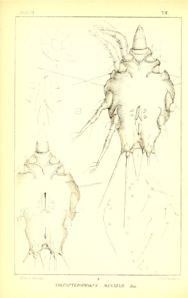 n45_w1150