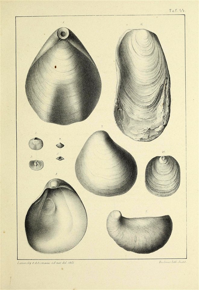n182_w1150