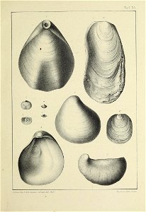 n182_w1150