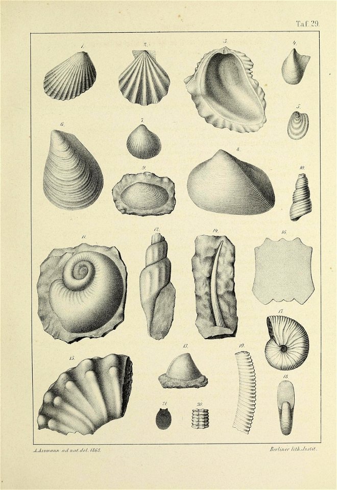 n122_w1150