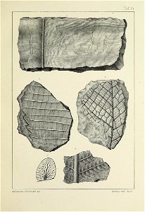 n62_w1150